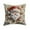A, variant on Taotanxi Christmas Pillow Cover,18" L X 18" W Throw Pillow Cover, Merry Christmas Pillow Cover for Women Men, Ornaments Print Pillowcase, Xmas Decor Cushion Case B