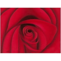 Trademark Fine Art "Red Rose" Canvas Wall Art by Rio