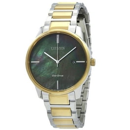 CITIZEN CA4021-51E 時計 Citizen Men's AT4029-01E Perpetual Chrono A-T Japanese