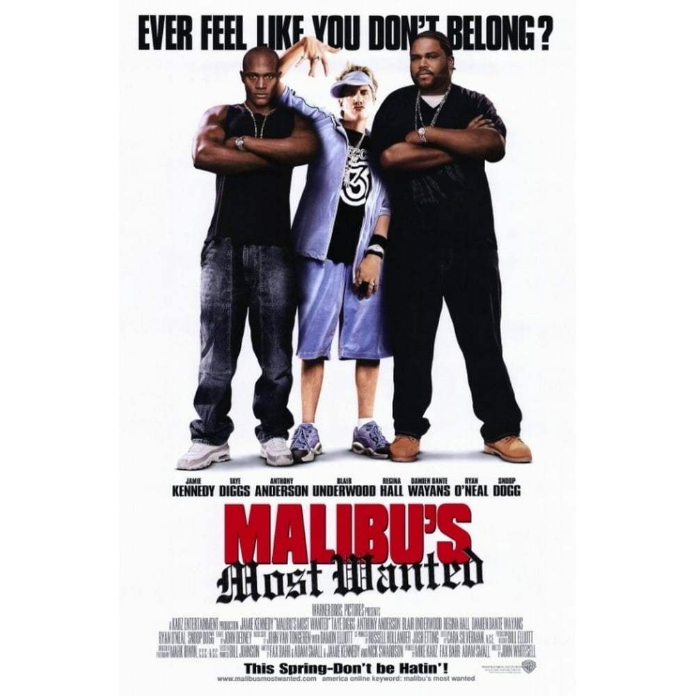 Malibus Most Wanted Movie Poster (11 x 17) - Walmart.com - Walmart.com