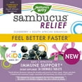 thumbnail image 6 of Nature’s Way Sambucus Relief Kids Immune Support Supplement* Chewables with Elderberry Extract, 36ct, 6 of 9