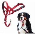 thumbnail image 1 of Halti Nylon Padded No Pull Dog Headcollar, Red, Size 4, 1 of 5