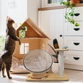 thumbnail image 1 of Runquan Lit Capsule Spatiale pour Chat d'Intérieur avec Balles Jouet Nid pour Chat Dia 42cm, 1 of 8