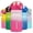 A-Cherry Blossom, variant on BJPKPK 18oz Stainless Steel Water Bottle with Straw, Insulated Water Bottle with Leak Proof Lid, Laguna