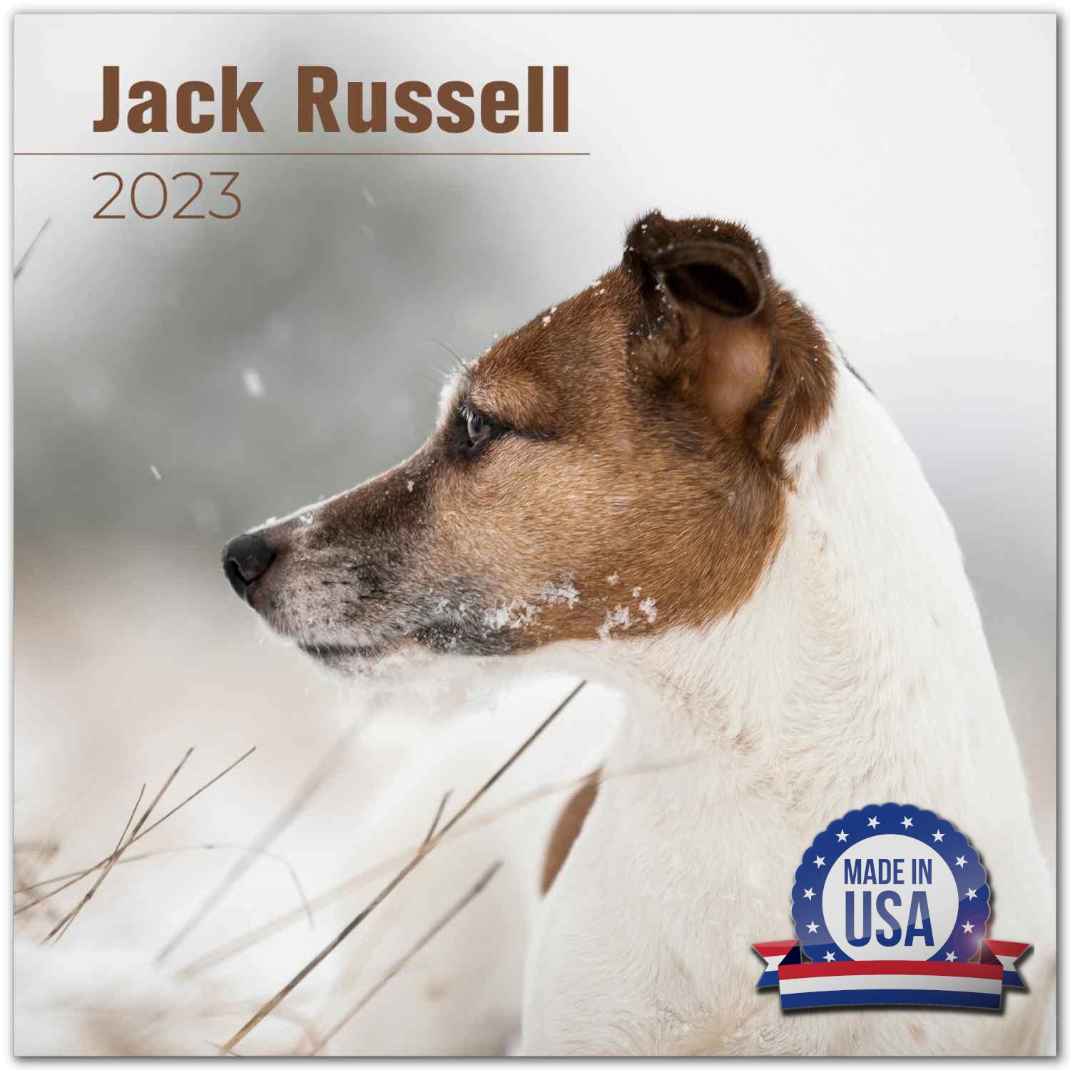 2022 2023 Jack Russell Calendar - Dog Breed Monthly Wall Calendar - 12 x 24 Open - Thick No-Bleed Paper - Giftable - Academic Teacher's Planner Calendar Organizing & Planning - Made in USA