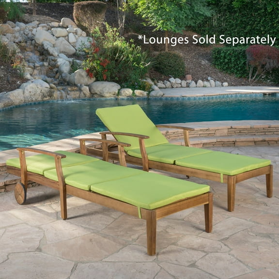 Lilyana Outdoor Water Resistant Chaise Lounge Cushion, Set of 2, Green