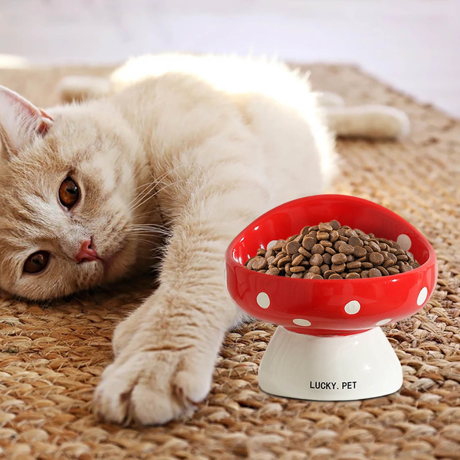 Elevated Cat Bowl - Whisker Fatigue Ceramic Dish for Cats Cute Design for Food and Water Feeding Solution for Indoor