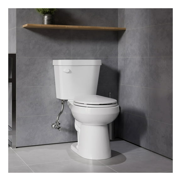 Garden 12 inch 2-pieces 1.28 GPF Siphon Elongated Ceramic Toilet in White Electric Bidet Seat with Auto Lid ADA Included