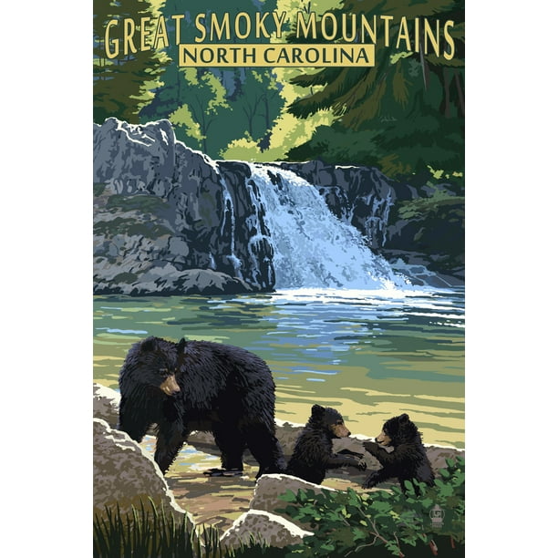 Great Smoky Mountains, North Carolina, Falls (24x36 Giclee Gallery Art