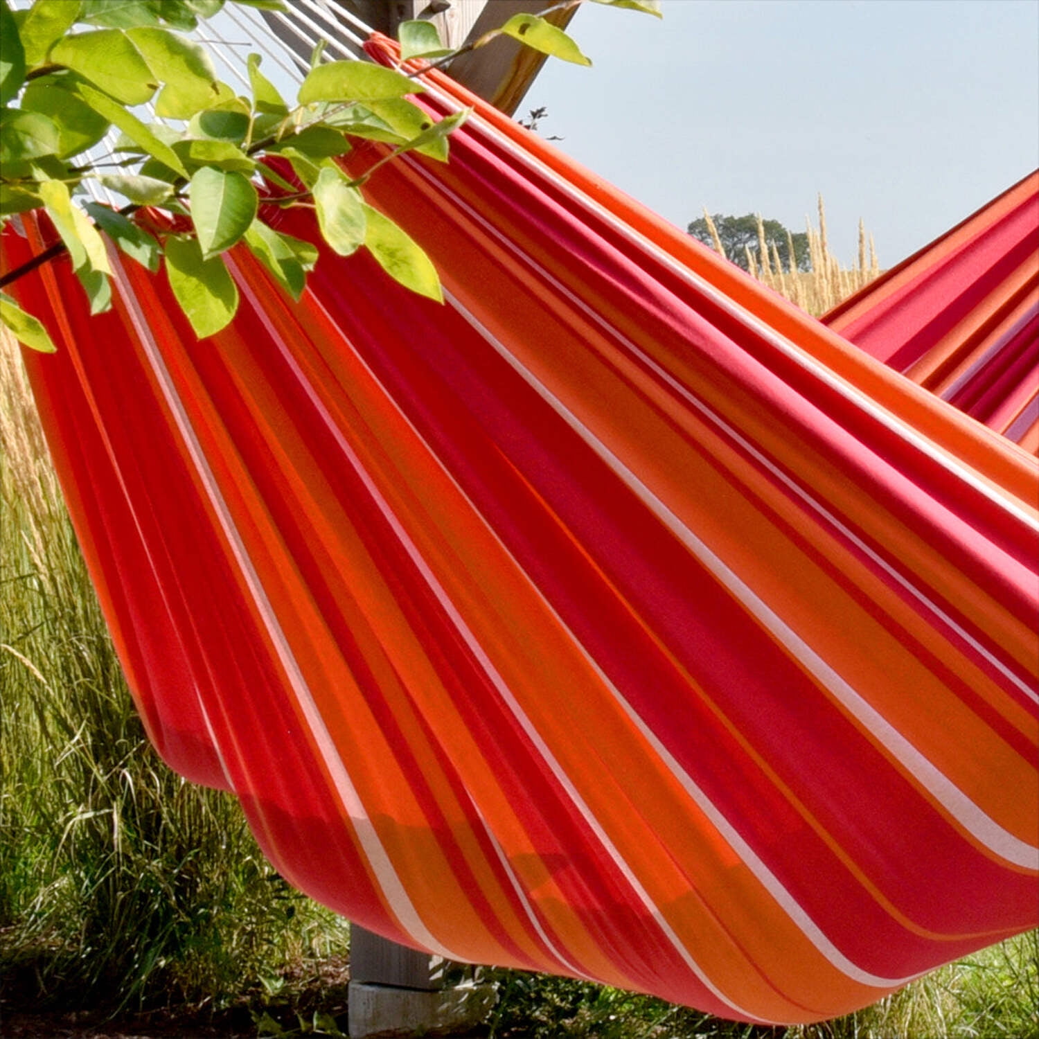 Vivere Double Cotton Brazilian Style Hammock -Mimosa