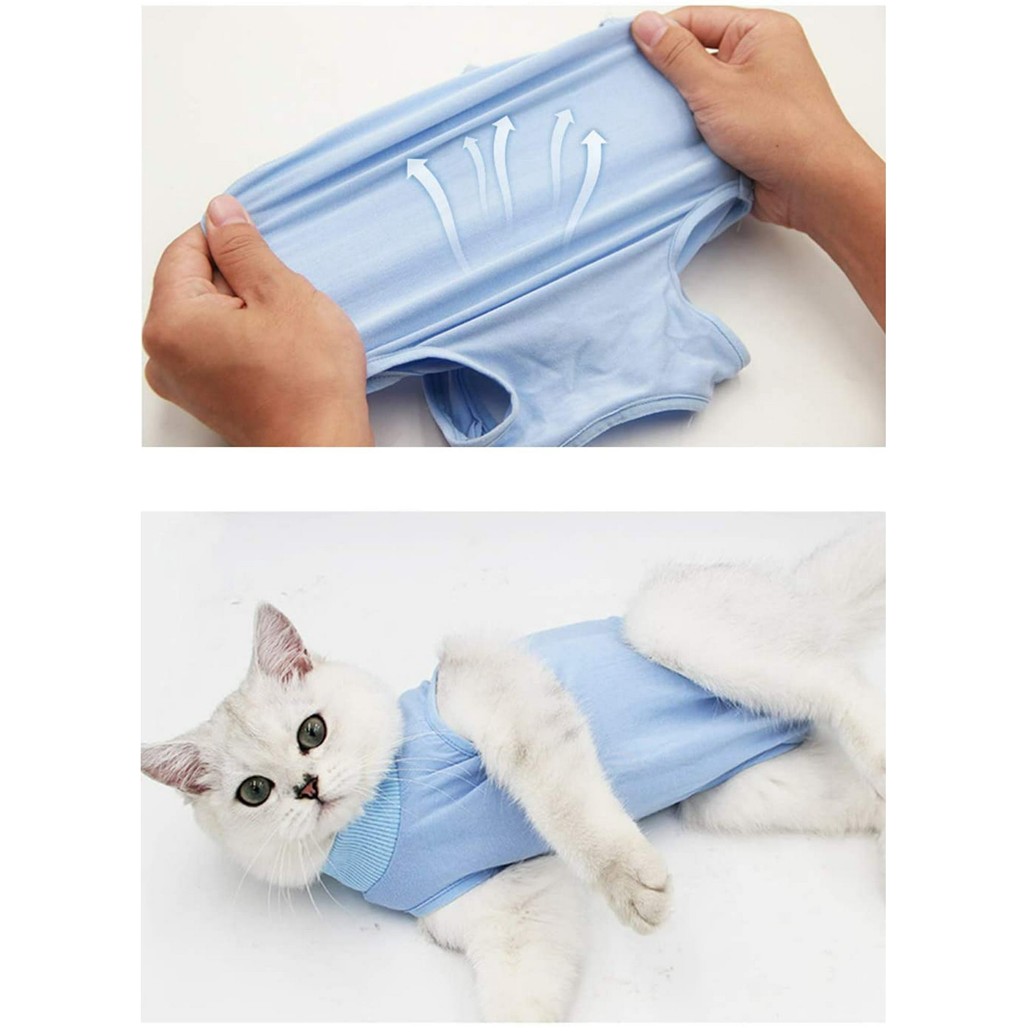ShenMo Gilet de Recuperation de Chat Alternative pour les Chiens et les Chats Costume de Recuperation pour Animaux de Compagnie Restauration de Chat Maladies des Plaies Abdominales Appropriees S Bleu ...