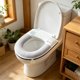 thumbnail image 1 of Full Of Ice Sensation Toilet Seat Cushion For All Seasons Thick And Washable Waterproof Seat Cushion With Handle For Household Use, 1 of 6