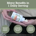 thumbnail image 5 of (Pack Of 4) Quantum Vitamin C D Zinc 60 Capsules, 5 of 9