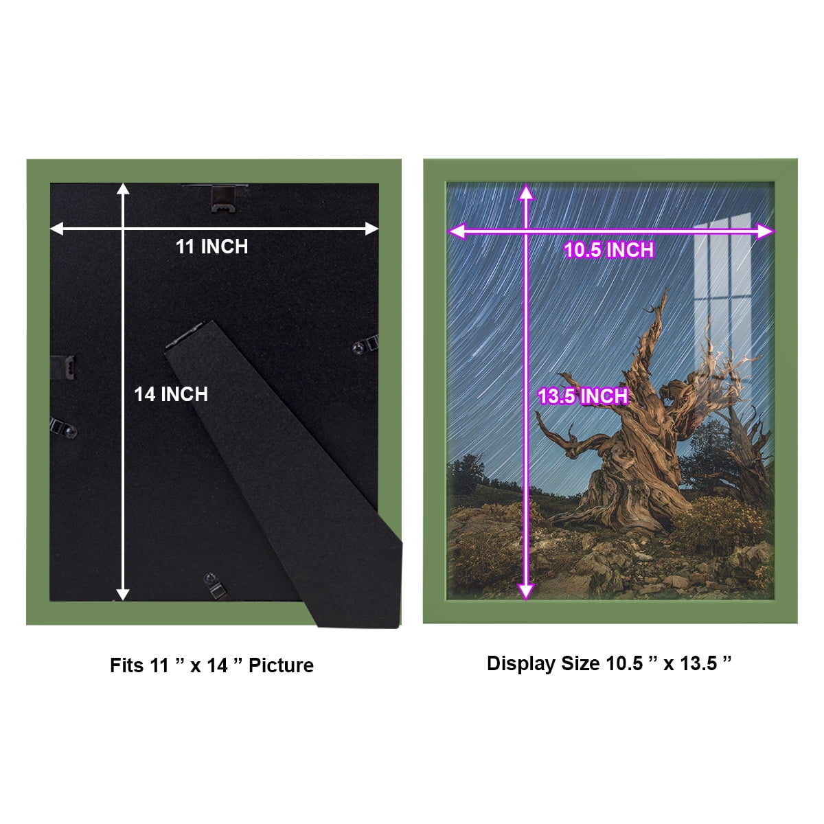 Modern 11 in. x 14 in. Green Picture Frame (Set of 4)