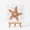 #01 Starfish, variant on Mivyn DIY Sea Glass Art Kit, Beach Glass Craft Set with Colorful Tiles, Ocean-Inspired Artwork with Colorful Glass Pieces, Coastal Home Decor & Creative Handmade Gift, Jellyfish