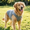 thumbnail image 4 of Sleeveless Dog Tank Top Summer Breathable Plain Pet Vest Machine Washable Soft Cotton Puppy T-Shirt for Small Medium Dogs Cats Indoor Outdoor Daily Wear, 4 of 6