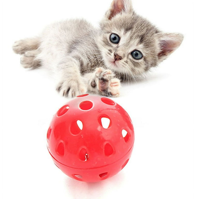 Cat 2025 jingle ball