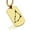 Gold, variant on Stainless Steel Capricorn (Sea Goat) Astrology Constellation Dog Tag Pendant Necklace