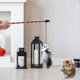 thumbnail image 3 of 2PCS Halloween Dog Toy New Model Funny Dog Stick Pumpkin Ghost Feather, 3 of 5
