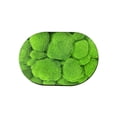 thumbnail image 2 of Carpet Green Bath Rug Super Absorbent Rubber Backing Non Slip Washable Bathroom Floor Mat(1-Piece) Rkxzt, 2 of 9
