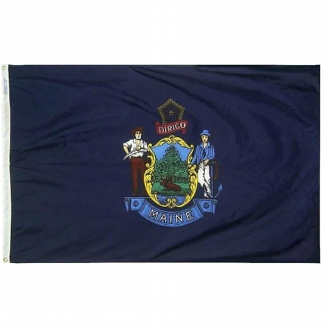 Drapeau Nyl-Glo Maine de 3 Pi x 5 Pi