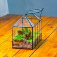 thumbnail image 4 of NCYP Glass Terrarium Planter with Lid, Grid House Shape Geometric Pot for Plants, Home Living Room, Garden Decoration, Terrarium Only, 4 of 10