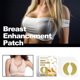thumbnail image 2 of Ginger Chest Patch Shapes Comfortably, Fits Breasts Breathably, Enhances Lines Chest Patch, 2 of 5