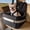 Black, variant on PETSFIT Dog Booster Car Seat for Small/Medium Dogs Up to 35 lbs – Patented Safety System, 6" Memory Foam Pet Booster Car Seat, Fully Detachable and Washable,2 Storage Pockets (Black & Grey)