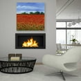 thumbnail image 6 of Epic Art 'Field of Poppies II' by Tim O'Toole, Acrylic Glass Wall Art, 36"x36", 6 of 6