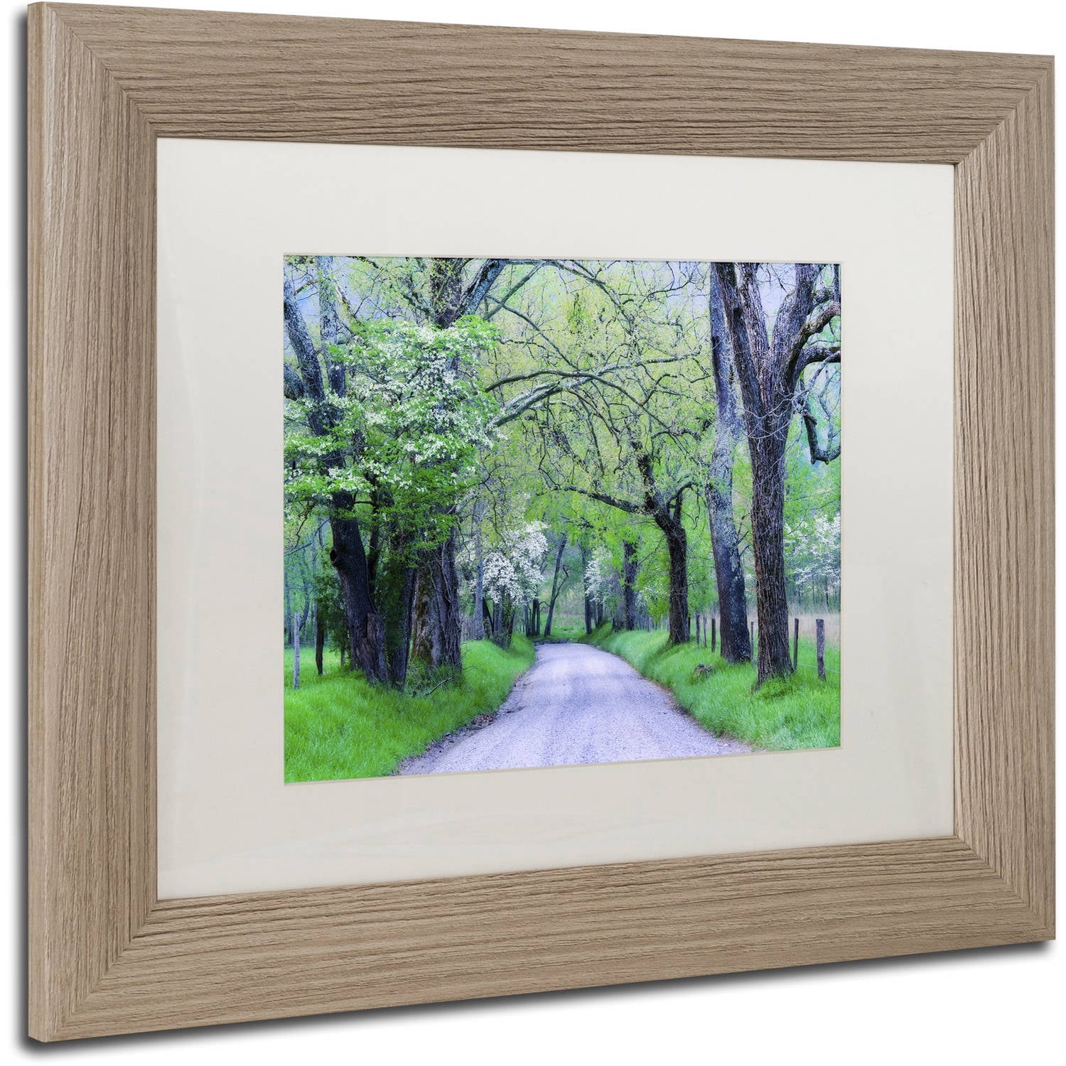 Trademark Fine Art "Cades Cove Lane" Canvas Art by Michael Blanchette Photography White Matte, Birch Frame