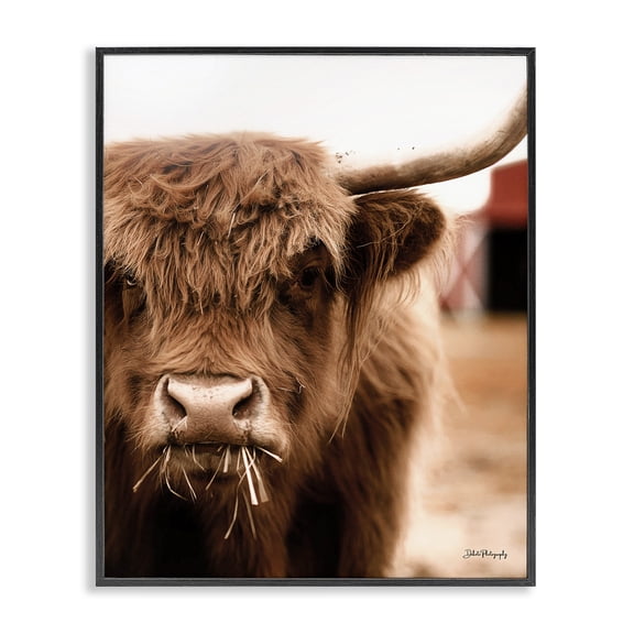 Stupell Industries Farmhouse Grazing Cow Animal Portrait Black Framed Giclee Art, 11 x 14, by Dakota Diener
