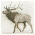thumbnail image 1 of Great BIG Canvas | "Elk" Art Print - 30x30, 1 of 4