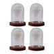 thumbnail image 1 of 4x Cúpula de vidrio transparente para flores, contenedor para micropaisaje DIY, campana de cristal Marron oscuro, 1 of 9