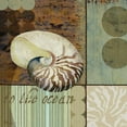 thumbnail image 2 of Brent, Paul 12x12 Black Ornate Wood Framed with Double Matting Museum Art Print Titled - Contemporary Shell II, 2 of 4