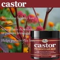 thumbnail image 4 of Sunflower Difeel Castor Pro Growth Masque Capillaire 12 oz, 4 of 10