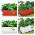 thumbnail image 6 of Walbest 3 Pack Flower Window Boxes Plastic Rectangular Window Planters, Vegetables Growing Container Garden Flower Plant Pots for Balcony, Windowsill, Patio, Garden, 6 of 7