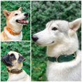 thumbnail image 3 of Tuff Pupper Collier pour Chien Classique Robuste / 10x Plus Résistant Que le Cuir / 100 % Imperméable & Anti-Odeur Collier pour Chien / Matériel Tout en Métal Antirouille, 3 of 8