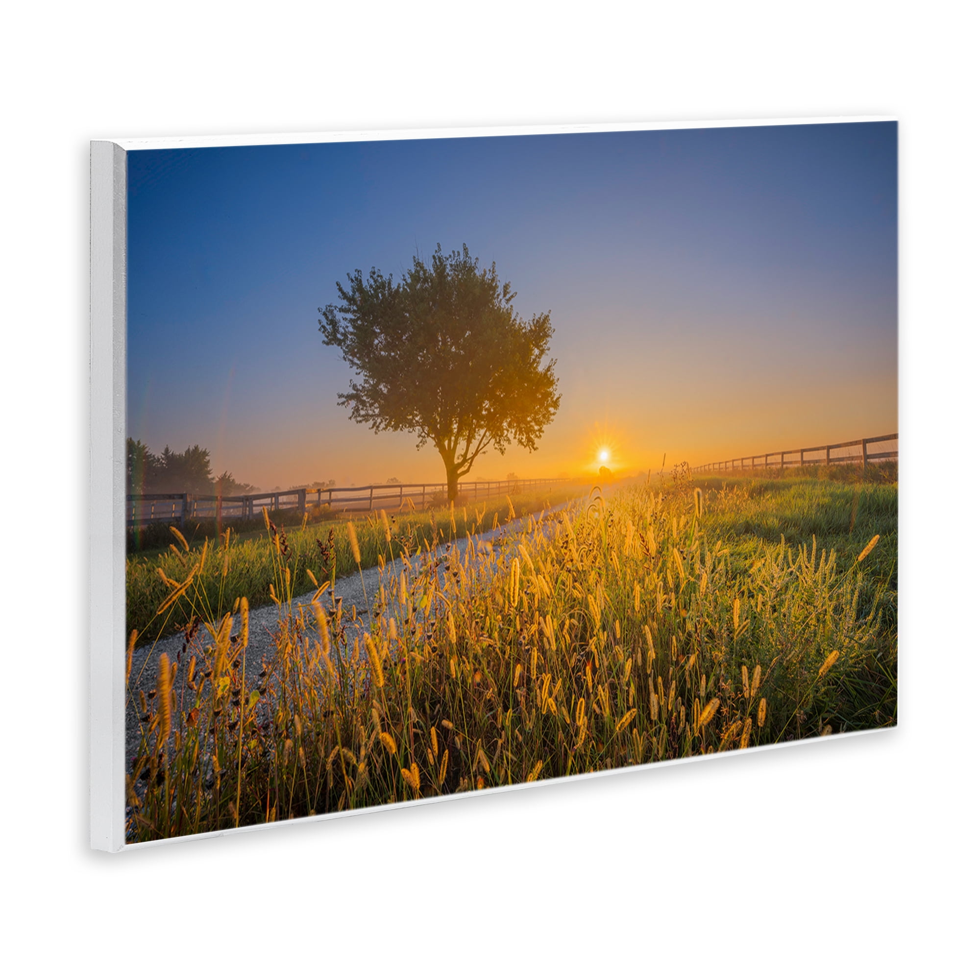 Stupell Industries Rising Sun Horizon Landscape & Nature Photography Unframed Art Print Wall Art, 15 x 10