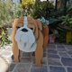 thumbnail image 4 of Dog Shaped Flowerpot Garden Succulent Plant Flowerpot Lovely Dog Storage Container For Outdoor Plants Dog Flowerpot, 4 of 7