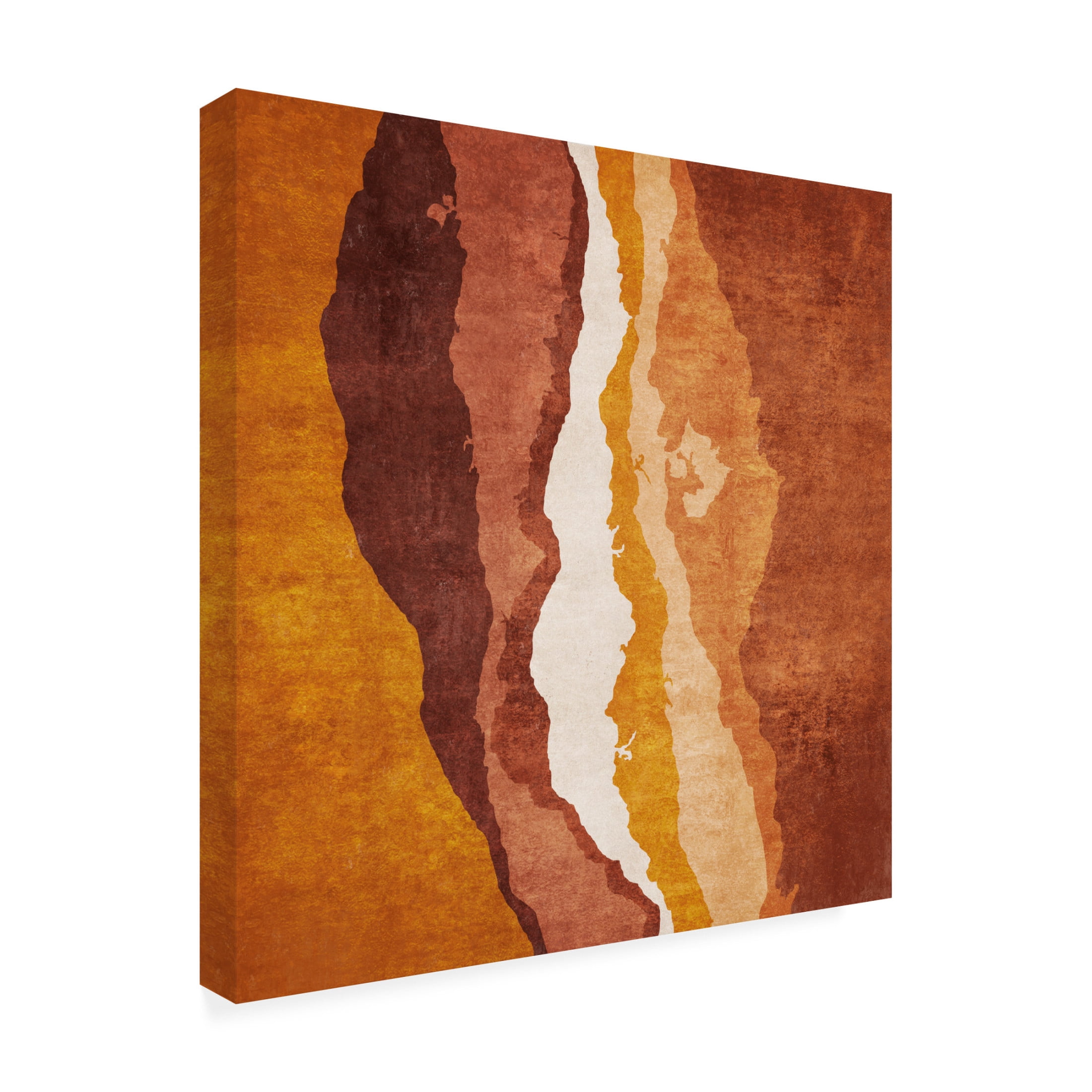 Trademark Fine Art Emel Tunaboylu  Hardal Catlak Katmanlar Canvas Wall Art