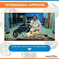 thumbnail image 4 of Walkin' Wheels Dog Wheelchair - Vet Approved - Large Dogs 70 -180 lbs, 4 of 7