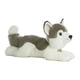 thumbnail image 1 of Aurora World Miyoni Perro Husky de 16 " Aurora 10857, 1 of 1