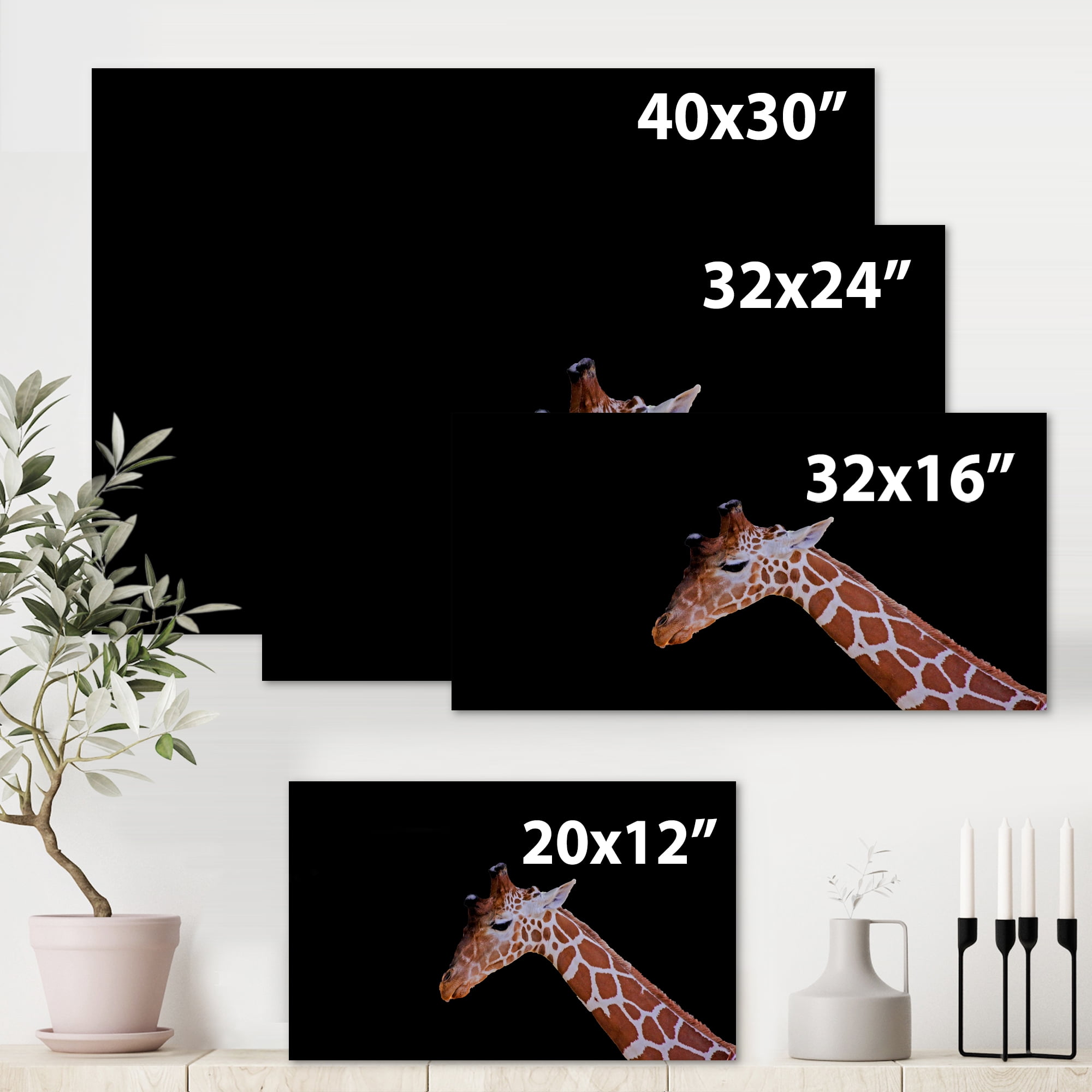 Designart ' Portrait of A Giraffe On Black Background I ' Farmhouse Canvas Wall Art Print
