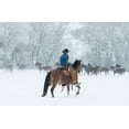 thumbnail image 2 of Walker, Carol 14x11 Gold Ornate Wood Framed with Double Matting Museum Art Print Titled - Wrangler In The Snow, 2 of 4