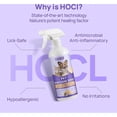 thumbnail image 4 of HICC Pet Skin Care Relief Cat & Dog Spray, 16-fl oz bottle, 4 of 5