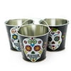 Day of the Dead Pails