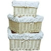 Willow Basket W/lining S/3