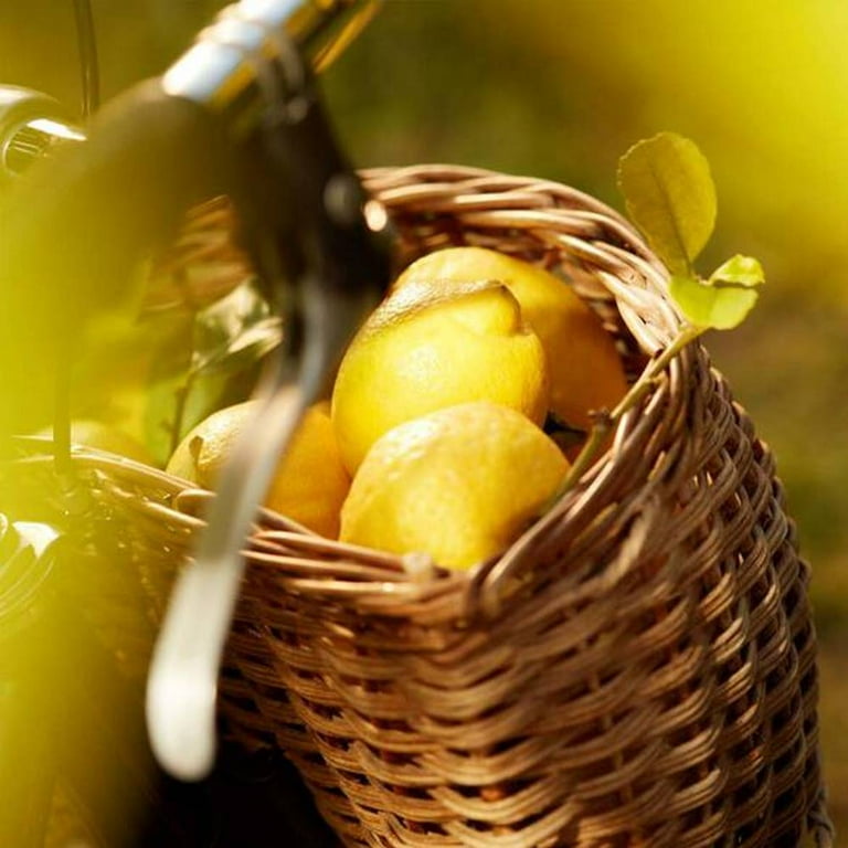 Replica' Under The Lemon Trees Eau De Toilette With Citrus