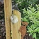 thumbnail image 4 of Rusty Birds Silhouette Metal Yard Ornament - Elegant Design for Garden, Yard, Yard, Lawn, Yard, Path, Sidewalk, 4 of 5