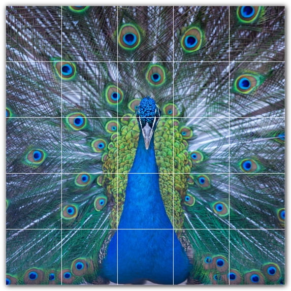 Picture-Tiles.com: Bird Ceramic Tile Wall Mural WAL500189-55XL. 60"W x 60"H using (25) 12" x 12" Ceramic Tiles-Satin Finish